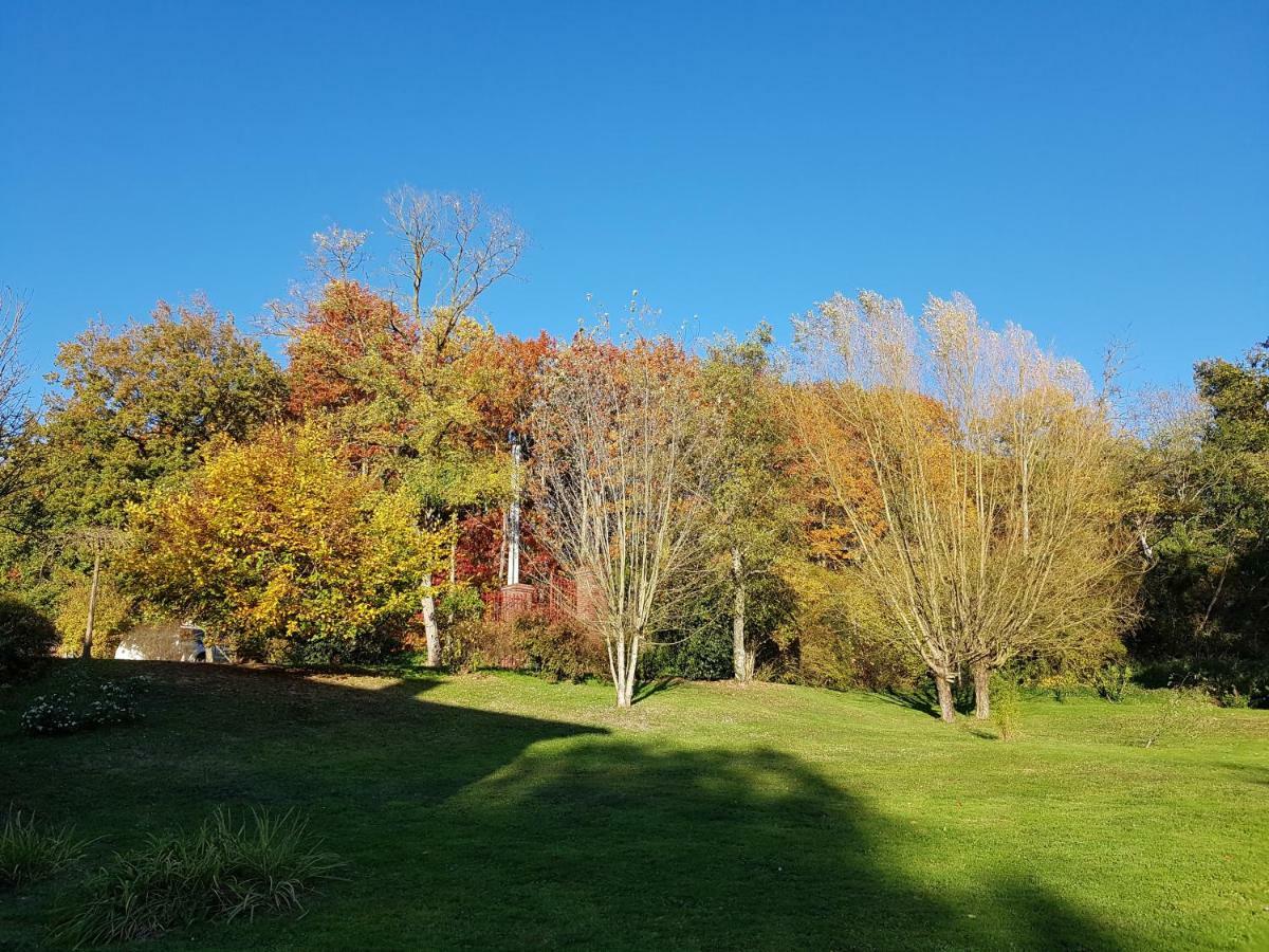 Le Moulin De Varax Saint-Paul-de-Varax 外观 照片